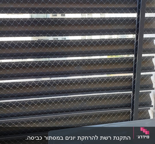 רשת מתכת למניעת כניסת יונים על רקע תריסים